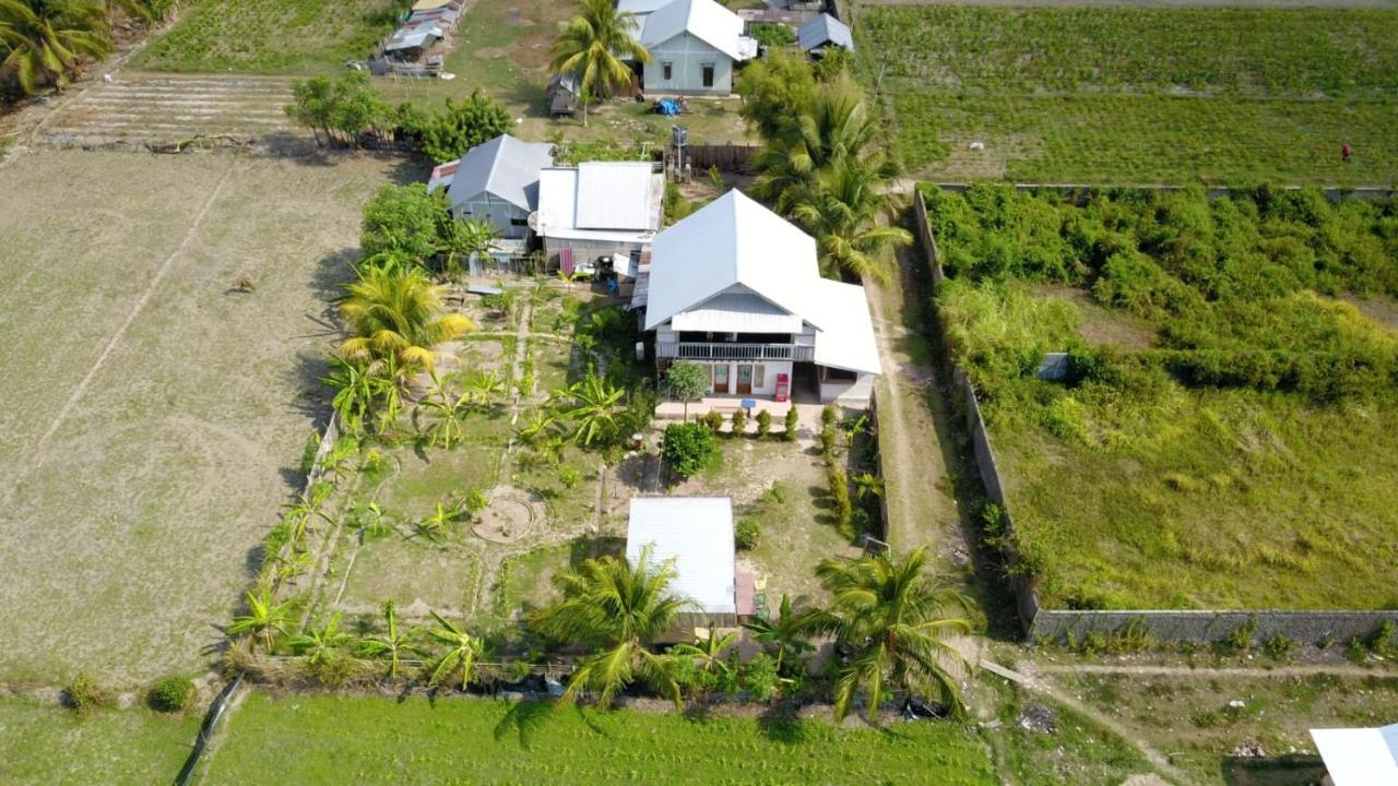 The Daun Puntik Homestay Pemenang Екстериор снимка