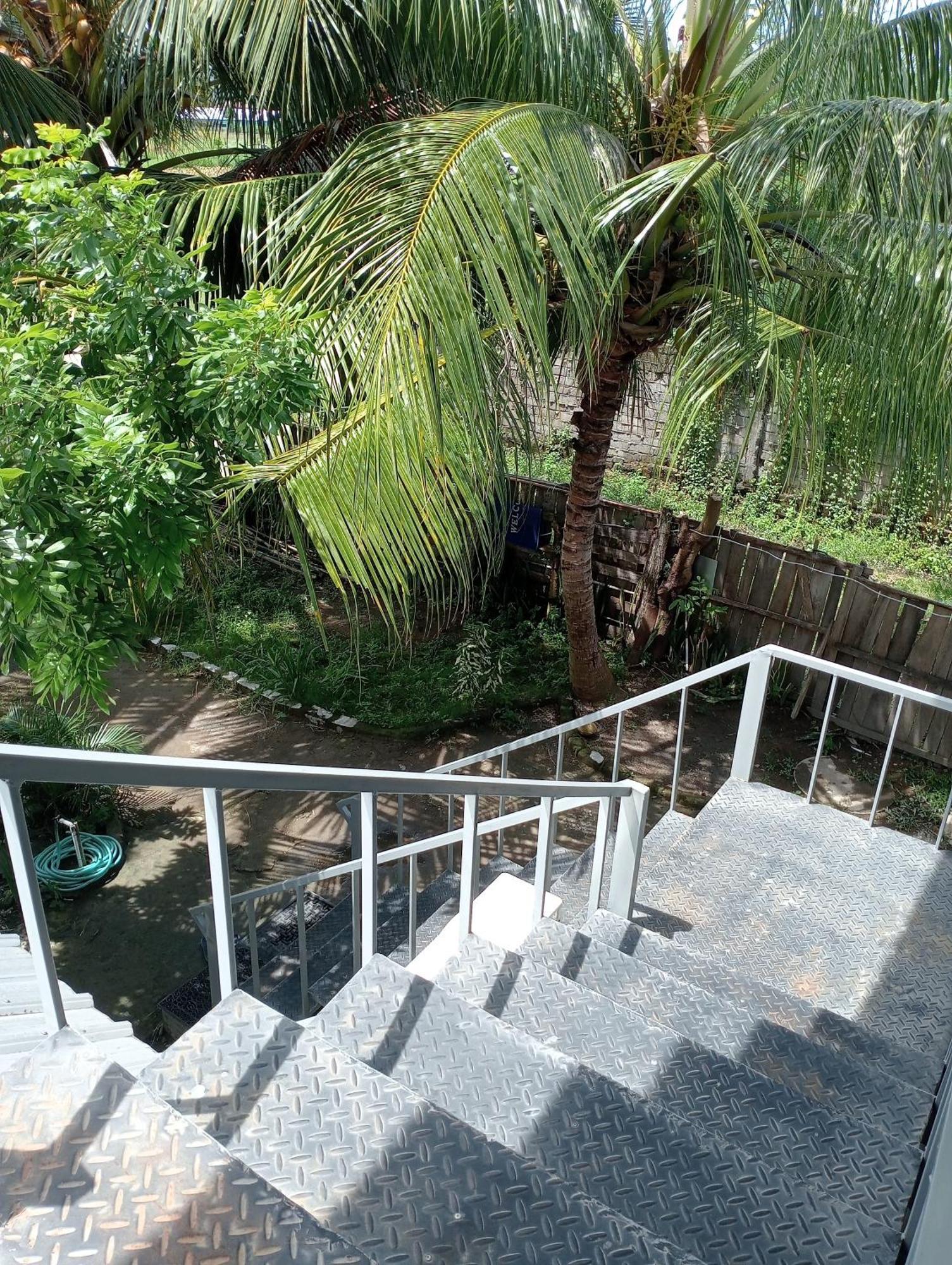 The Daun Puntik Homestay Pemenang Екстериор снимка