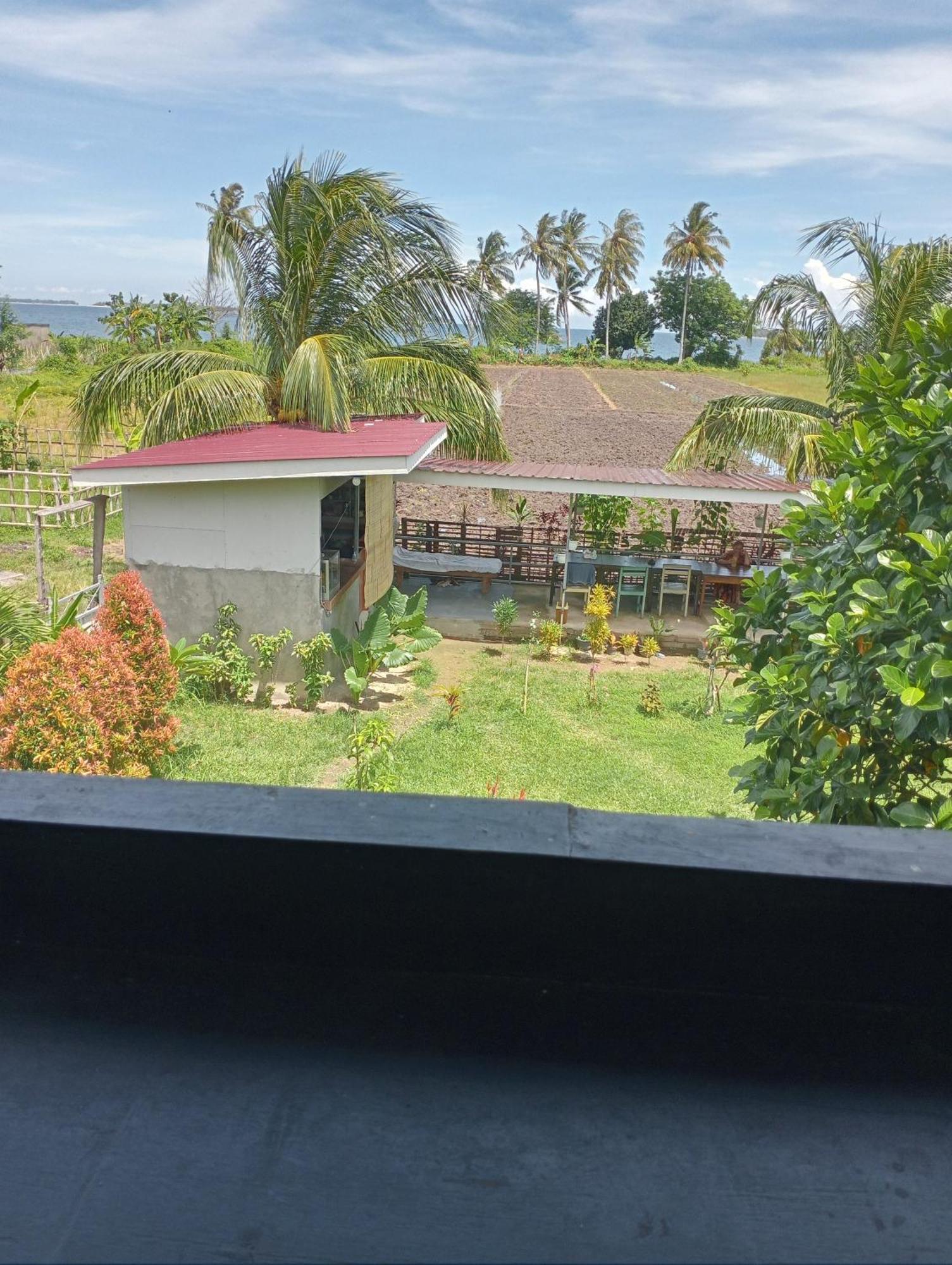 The Daun Puntik Homestay Pemenang Екстериор снимка