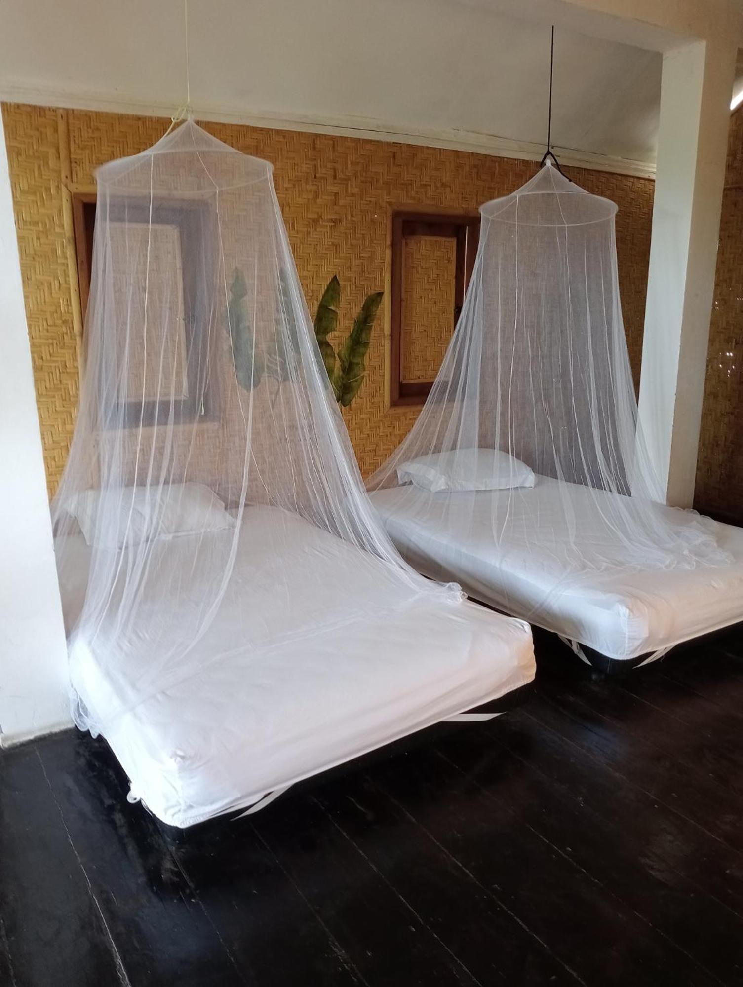 The Daun Puntik Homestay Pemenang Екстериор снимка