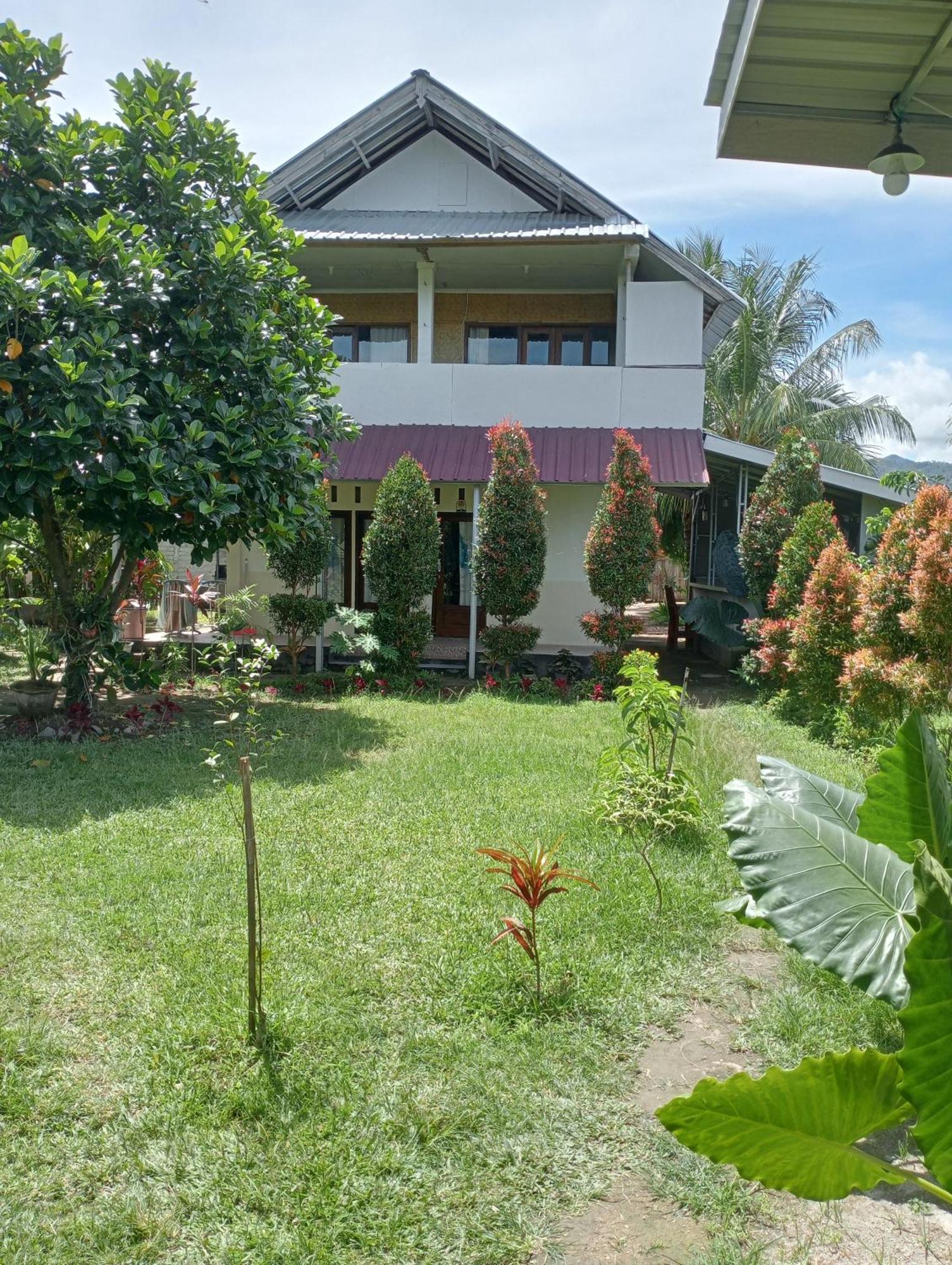 The Daun Puntik Homestay Pemenang Екстериор снимка