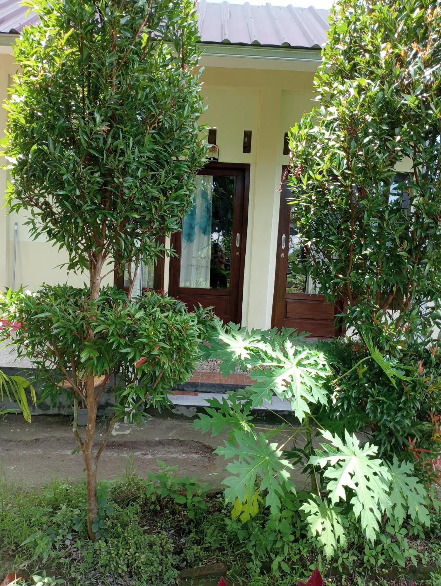 The Daun Puntik Homestay Pemenang Екстериор снимка